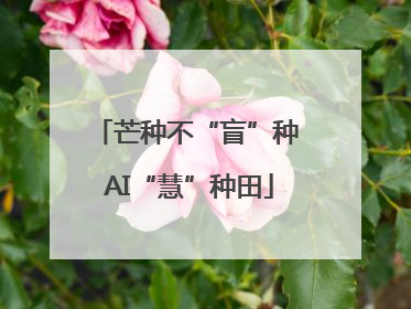 芒种不“盲”种 AI“慧”种田