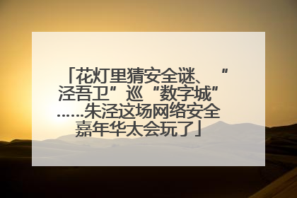 花灯里猜安全谜、“泾吾卫”巡“数字城”……朱泾这场网络安全嘉年华太会玩了