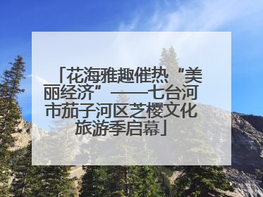 花海雅趣催热“美丽经济”——七台河市茄子河区芝樱文化旅游季启幕