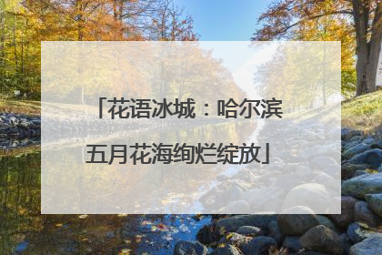 花语冰城：哈尔滨五月花海绚烂绽放