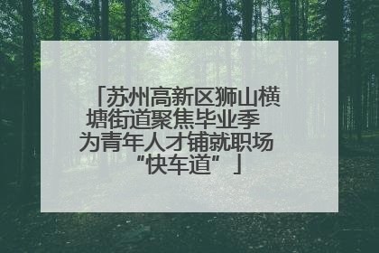 苏州高新区狮山横塘街道聚焦毕业季 为青年人才铺就职场“快车道”
