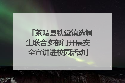 茶陵县秩堂镇选调生联合多部门开展安全宣讲进校园活动