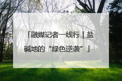 融媒记者一线行｜盐碱地的“绿色逆袭”