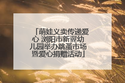 萌娃义卖传递爱心 浏阳市新翼幼儿园举办跳蚤市场暨爱心捐赠活动