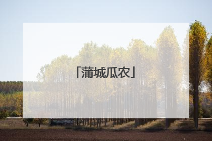 蒲城瓜农