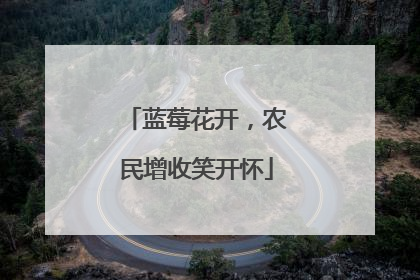 蓝莓花开，农民增收笑开怀
