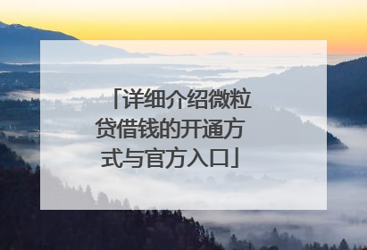 详细介绍微粒贷借钱的开通方式与官方入口