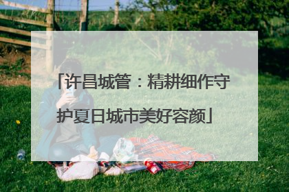 许昌城管：精耕细作守护夏日城市美好容颜