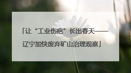 让“工业伤疤”长出春天——辽宁加快废弃矿山治理观察