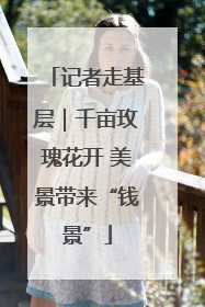 记者走基层｜千亩玫瑰花开 美景带来“钱景”
