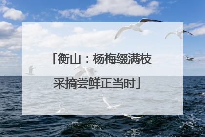 衡山：杨梅缀满枝 采摘尝鲜正当时