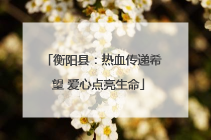 衡阳县：热血传递希望 爱心点亮生命