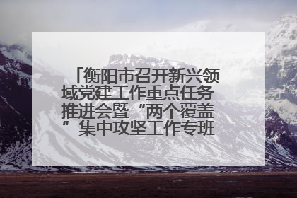 衡阳市召开新兴领域党建工作重点任务推进会暨“两个覆盖”集中攻坚工作专班 第一次会议