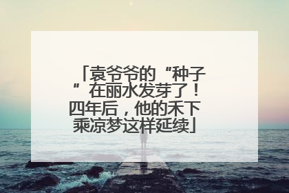 袁爷爷的“种子”在丽水发芽了！四年后，他的禾下乘凉梦这样延续