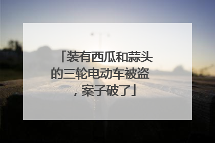 装有西瓜和蒜头的三轮电动车被盗，案子破了