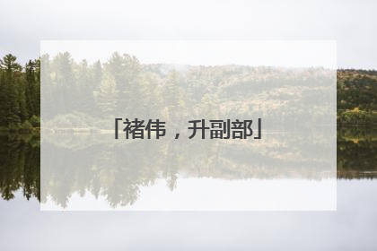 褚伟，升副部