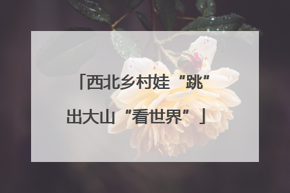 西北乡村娃“跳”出大山“看世界”
