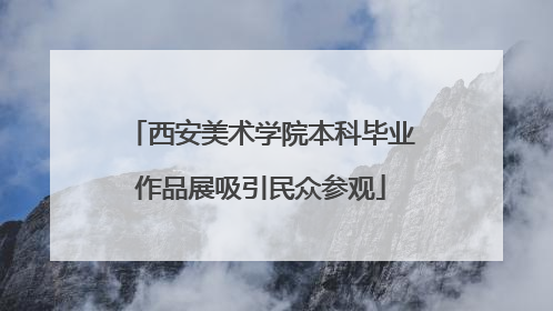 西安美术学院本科毕业作品展吸引民众参观