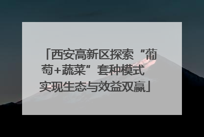 西安高新区探索“葡萄+蔬菜”套种模式 实现生态与效益双赢