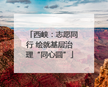 西峡：志愿同行 绘就基层治理“同心圆”