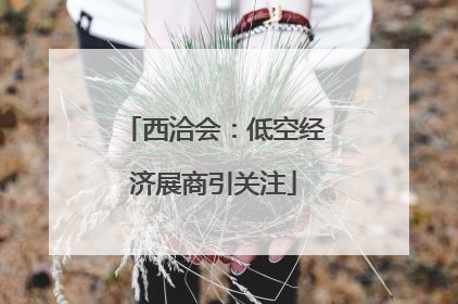 西洽会：低空经济展商引关注