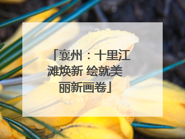 襄州：十里江滩焕新 绘就美丽新画卷