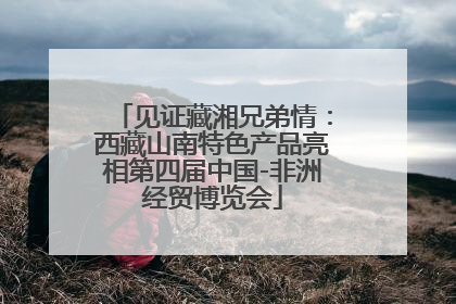 见证藏湘兄弟情：西藏山南特色产品亮相第四届中国-非洲经贸博览会