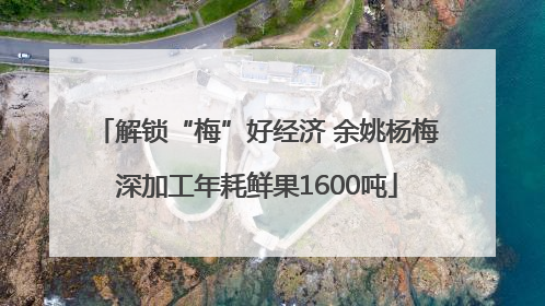 解锁“梅”好经济 余姚杨梅深加工年耗鲜果1600吨