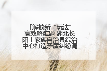 解锁新“玩法” 高效解难题 湖北长阳土家族自治县综治中心打造矛盾纠纷调处“终点站”