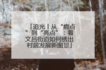 追光丨从“痛点”到“亮点”：看文昌街道如何绣出村居发展新图景