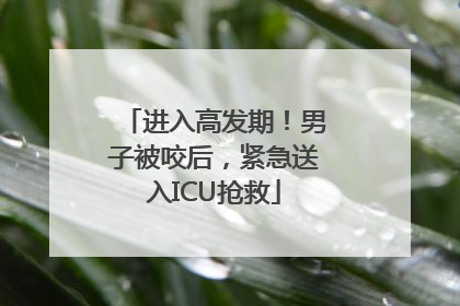 进入高发期！男子被咬后，紧急送入ICU抢救