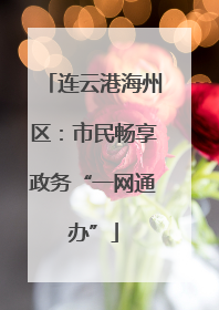 连云港海州区：市民畅享政务“一网通办”