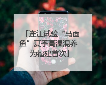 连江试验“马面鱼”夏季高温混养 为福建首次