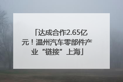 达成合作2.65亿元！温州汽车零部件产业“链接”上海