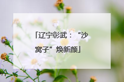 辽宁彰武：“沙窝子”焕新颜