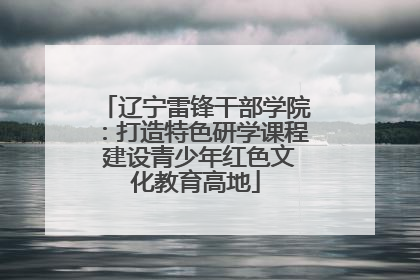 辽宁雷锋干部学院：打造特色研学课程 建设青少年红色文化教育高地