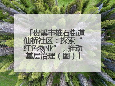 贵溪市雄石街道仙桥社区：探索“红色物业”，推动基层治理（图）