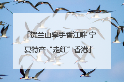 贺兰山牵手香江畔 宁夏特产“走红”香港