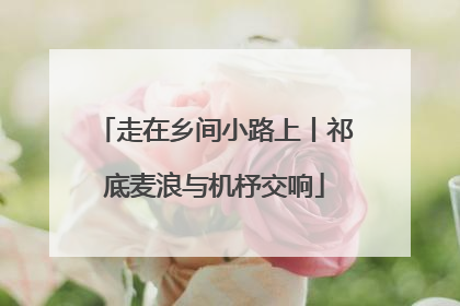 走在乡间小路上丨祁底麦浪与机杼交响