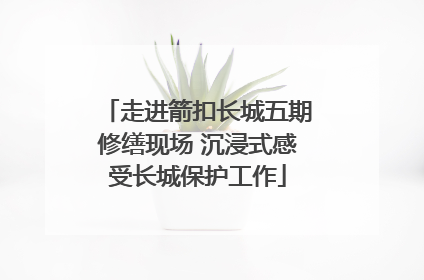 走进箭扣长城五期修缮现场 沉浸式感受长城保护工作