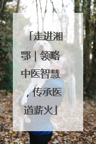 走进湘鄂｜领略中医智慧，传承医道薪火