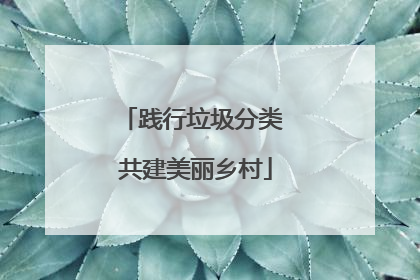践行垃圾分类 共建美丽乡村
