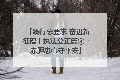践行总要求 奋进新征程丨执法公正篇③：赤胆忠心守平安