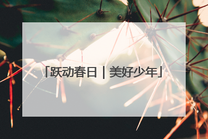 跃动春日｜美好少年