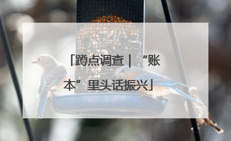 蹲点调查｜“账本”里头话振兴