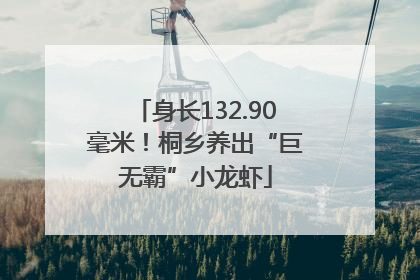 身长132.90毫米！桐乡养出“巨无霸”小龙虾