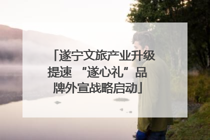 遂宁文旅产业升级提速 “遂心礼”品牌外宣战略启动