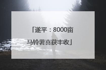 遂平：8000亩马铃薯喜获丰收