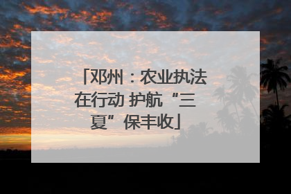 邓州：农业执法在行动 护航“三夏”保丰收