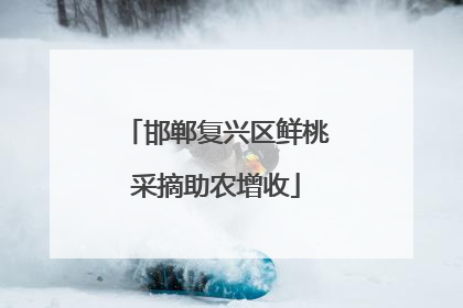 邯郸复兴区鲜桃采摘助农增收